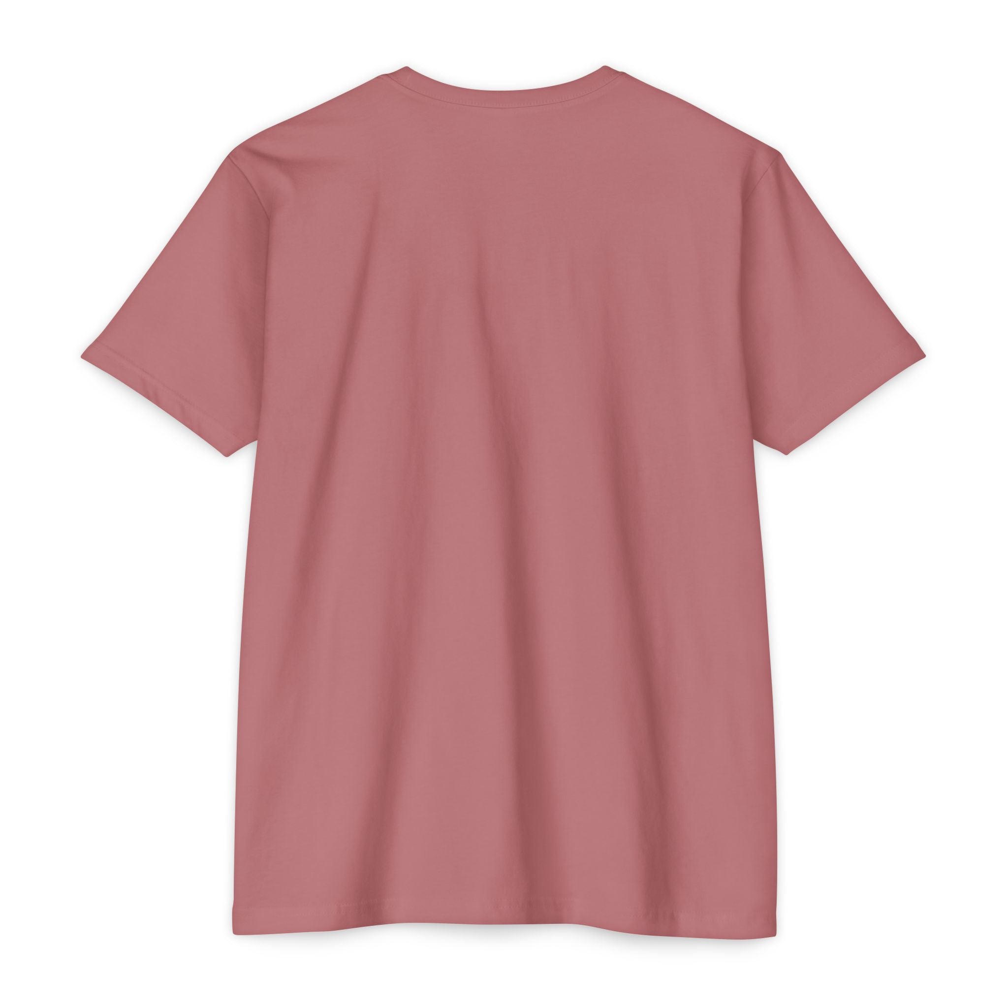 Women's CVC Jersey T-shirt